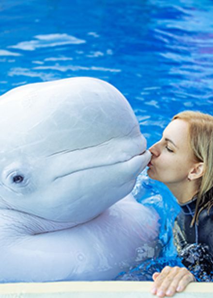 Плавание с китами