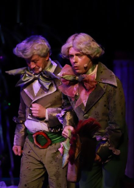 Щелкунчик и Мышиный король